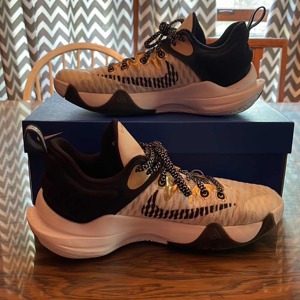 Giannis immortality basketball shoes